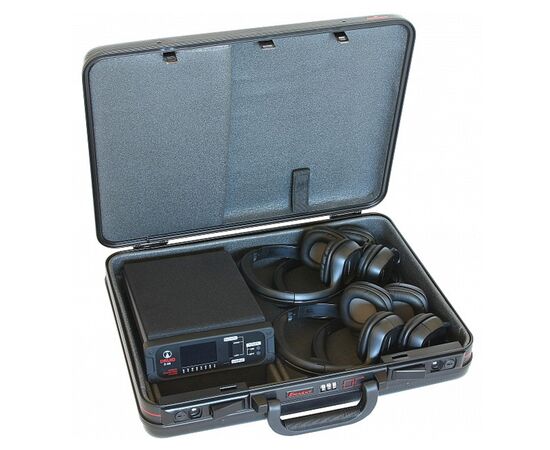 Устройство обеспечения конфиденциальных переговоров друид д 06